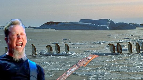 penguenler-ve rock