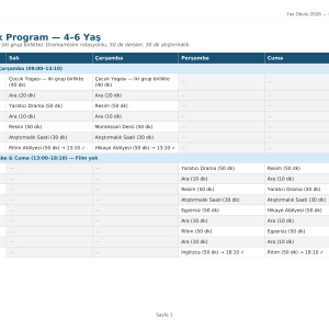 7-10 Yaş Yaz okulu programı
